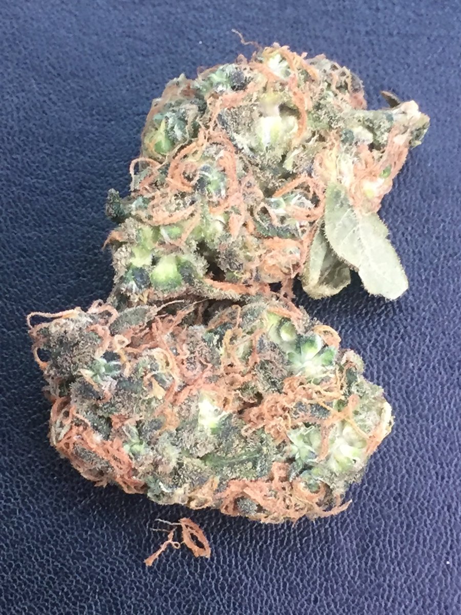 Blessings from a friend . Still needs to dry abit