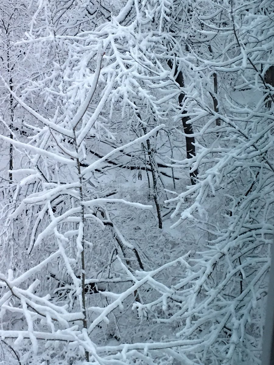 schuberthart's tweet photo. Winter wonderland!  Happy weekend.  @snow @winterwonderland @photography https://t.co/2FeXtLq2Mj