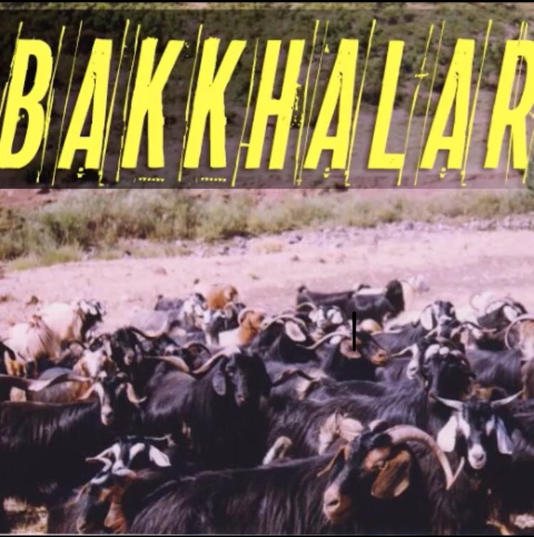 BAKKHALAR (@hektorvanilyam) on Twitter photo 