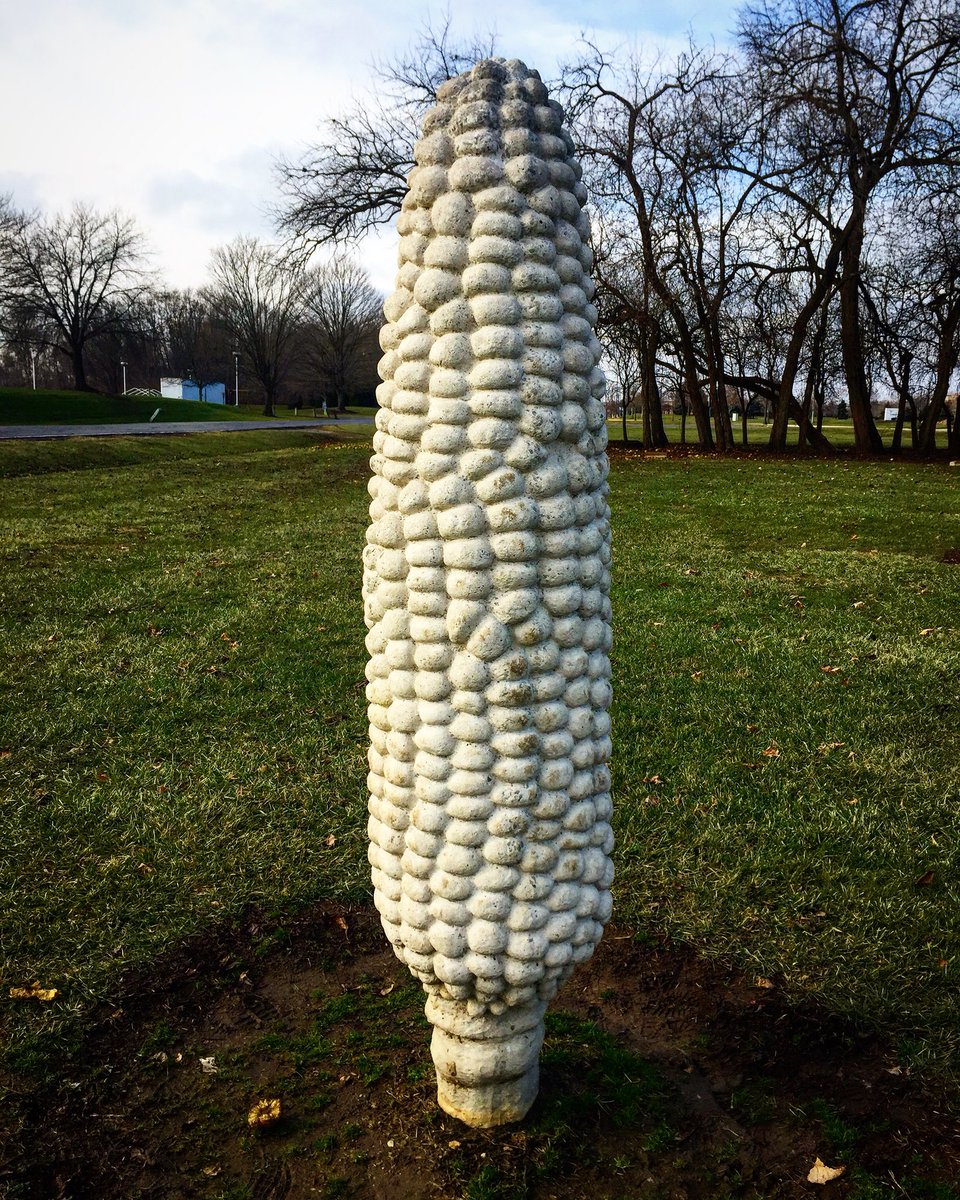 ROpatich's tweet photo. FoTo oF tHe DaY taKen bY mE: Corn Cob (Field of Corn, Columbus, Ohio) 2/3
#CornCob
#FieldofCorn
#DublinOhio
#ColumbusOhio
#Columbus
#CentralOhio
#Ohio
#Buckeye
#PhotooftheDay
#travelphotography
#travelphotographer
#photography
#photographs
#photos https://t.co/xPD07fTSiv
