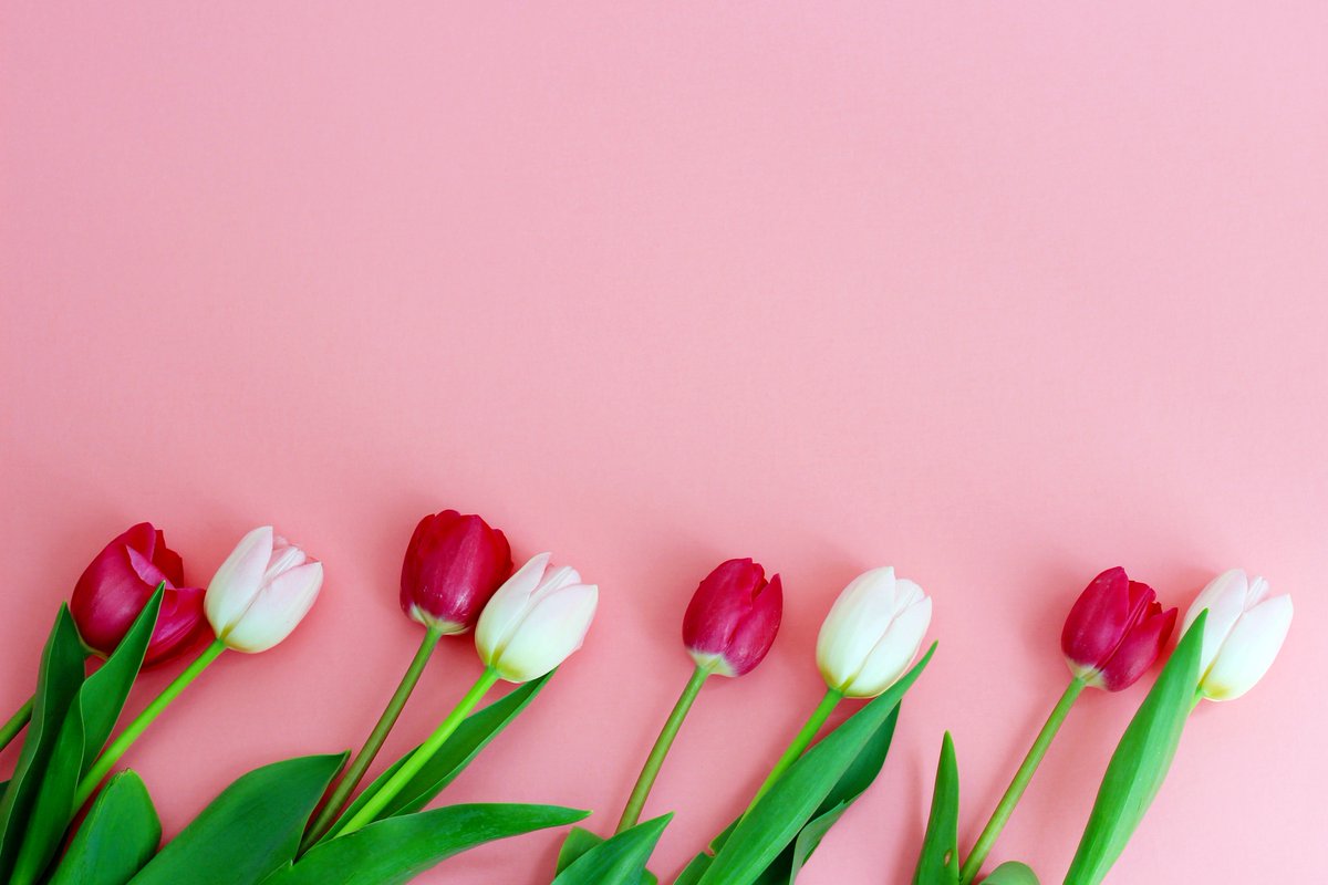 It's mid-January and a little grey outside so let's think spring shall we?  Leaving you with these lovely tulips to inspire.  Have a good day everyone.  #SaturdayMorning #SaturdayMotivation #SpringNotSpring