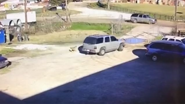 KSBW Action News 8 tweet media