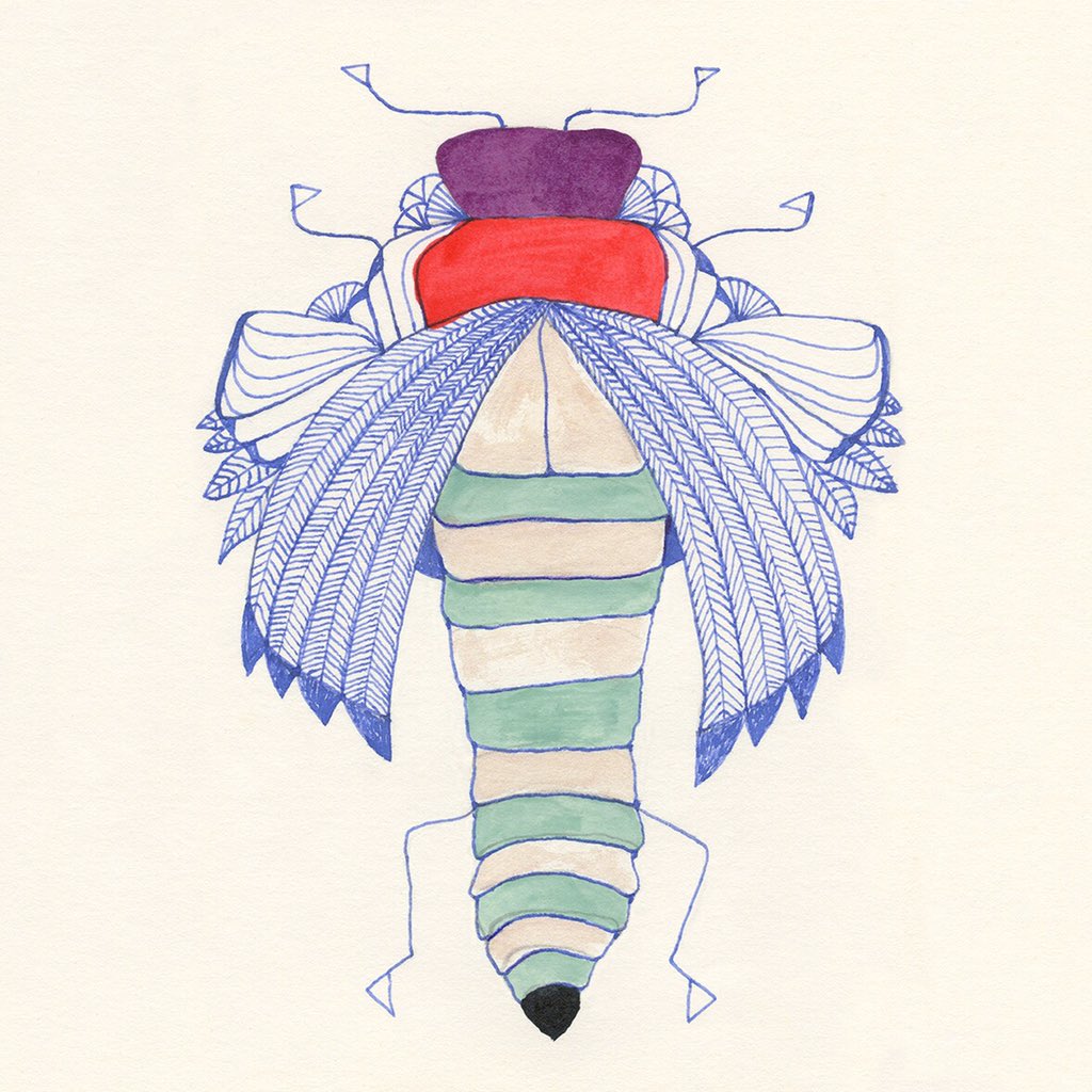 soyoufr's tweet photo. ✍🏻 challenge 365 dessins en 2019 sur insta 
Janvier : série #trytofly 
#papier #stylo #encre
.
#artpen #illustration #fly #design #ink #pen #inkdrawing #drawing #art #artwork #artdeco #painting #idea #insect #beetle #architecture #diy #dessin #365drawings #graphicdesign
#angers https://t.co/cnKg3IbjVm