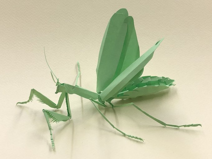 カマキリのtwitterイラスト検索結果 古い順