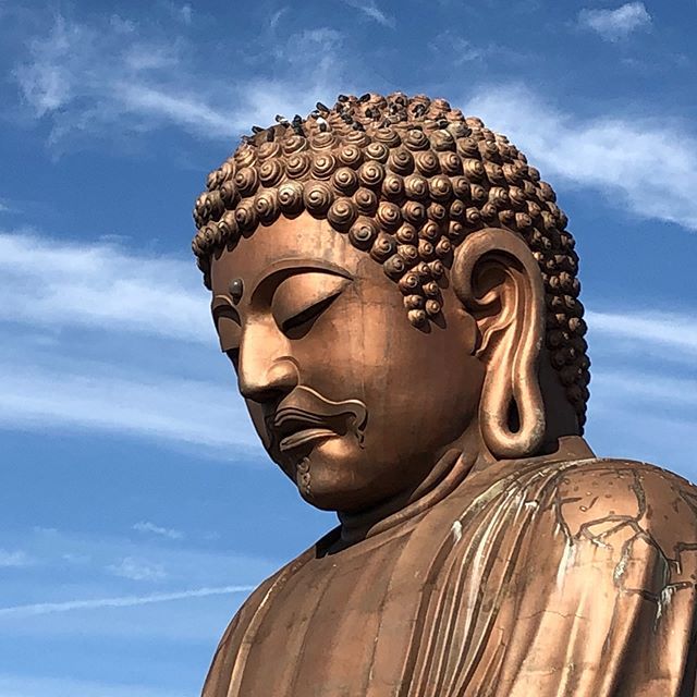 螺髪 螺髪