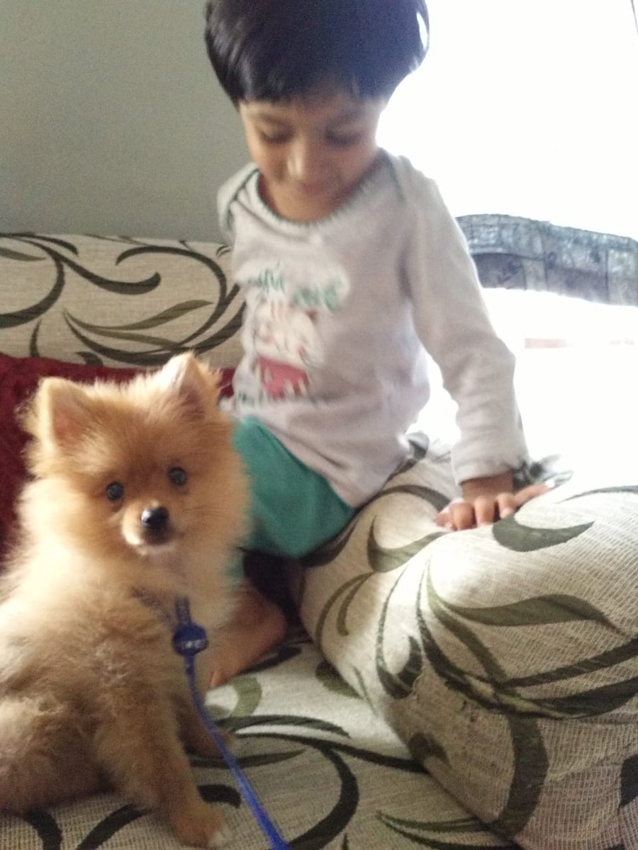 sanchitabhartiy's tweet photo. @MyIndianBank I will buy a new kennel and toys for my pooch 

#IndianBank #WhatIf #Contest #MastercardIndia #Cashback #IndianBankDebitCard #ShopForRewards https://t.co/7usIyAWKD6