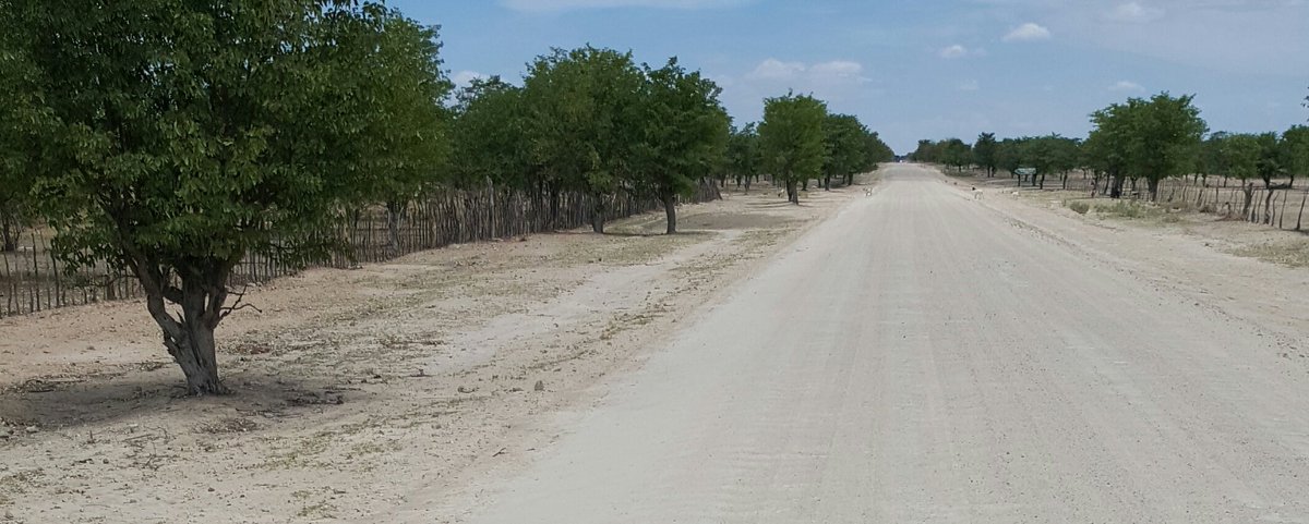 SamShafa_'s tweet photo. will miss home Omadhiya gaAna Shoombe #Onesi https://t.co/xOncn0vMCz