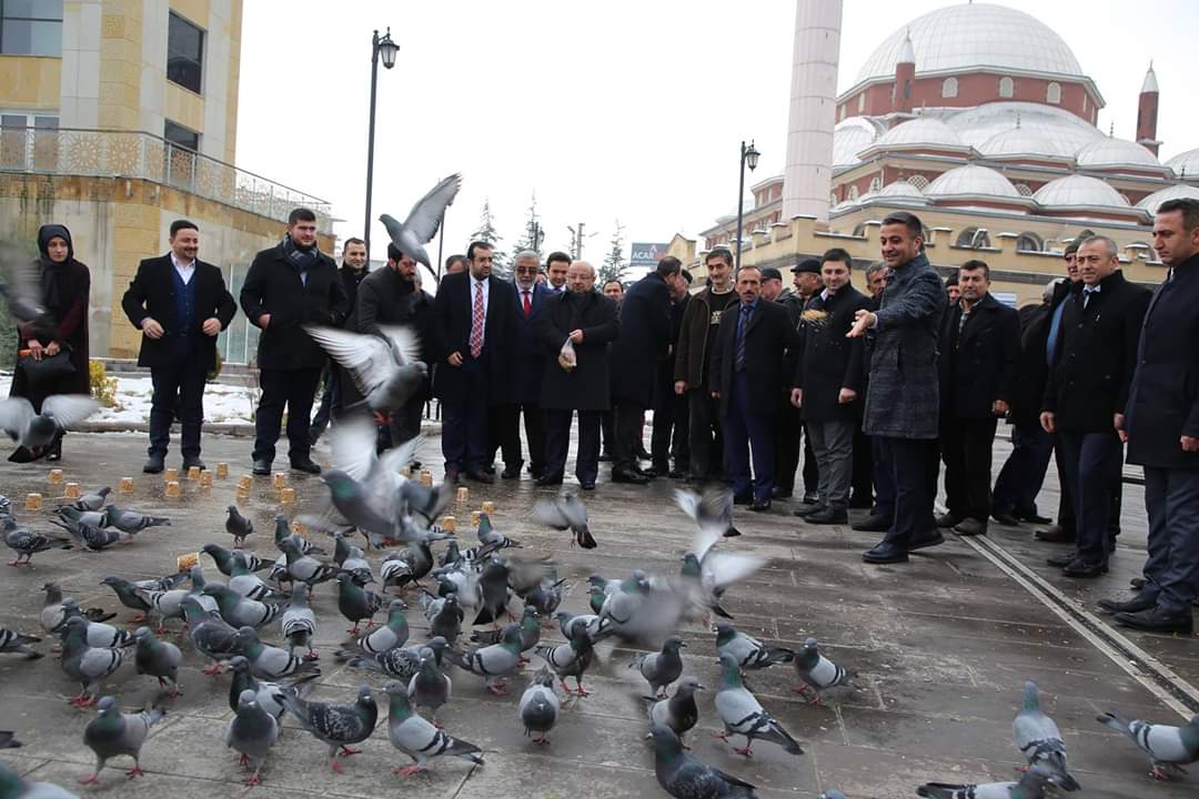 18HuseyinBoz's tweet photo. Çankırı’da sokak hayvanlarına sahip çıkan bir Belediye, onlara yardım eli uzatan vatandaşlarımız ve duyarlı bir AK Gençlik var.

Yerel yönetim ve AK Kadrolarımız olarak soğuk havalarda, sokak hayvanlarımız ve kuşlarımız için elimizden gelen gayreti gösteriyoruz. https://t.co/u3Dssr3As0