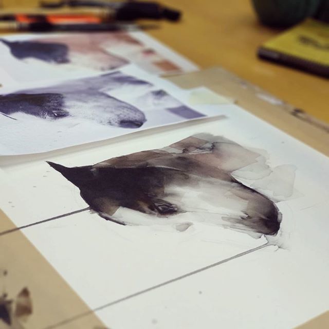 aldaconlimon's tweet photo. Demostración de @bertallonch_ Hoy en @aldaconlimon #watercolor #masterclass #bertallonch #acuarela #workshop #malasaña #perro #madrid https://t.co/SZdILncEX7