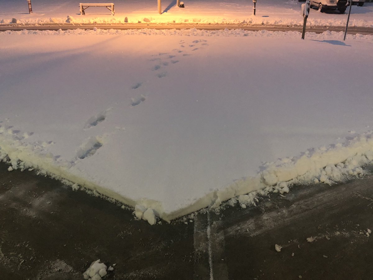 AP1470_'s tweet photo. Got a decent workout in this morning! Liberty got a ton of snow!!! https://t.co/8O5LbXBfQG