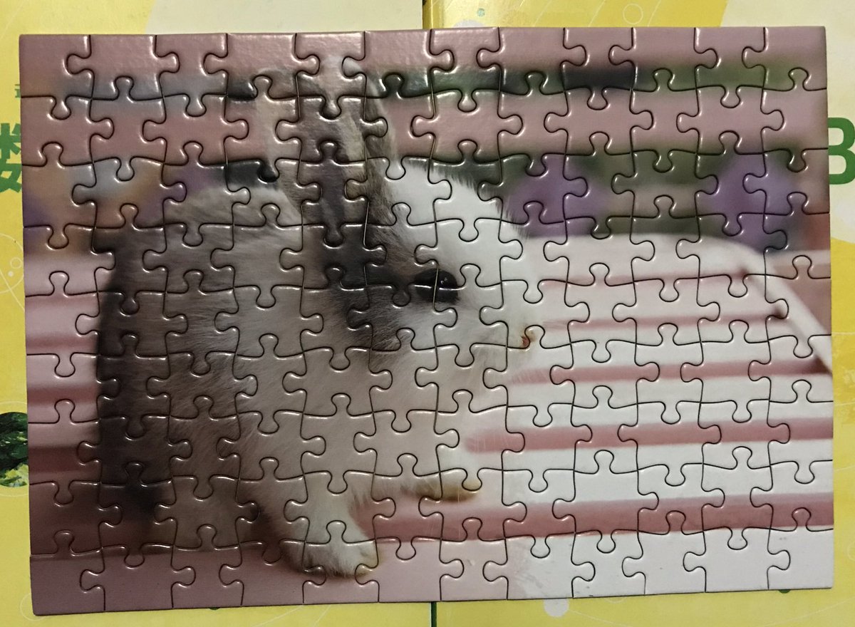 19年1月第3週 キャンドゥ100円グッズ Twitterパトロール キャンドゥ