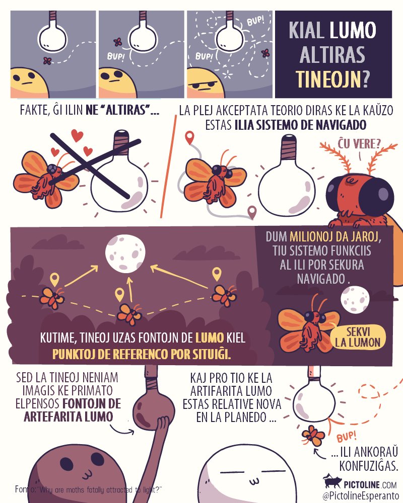 PictolineEsperanto tweet media