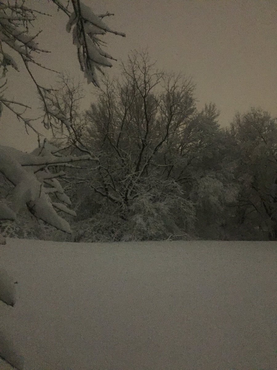 ✞ ┊ woke up to the best thing ever in existence — okay not really i despise the weather here 😩