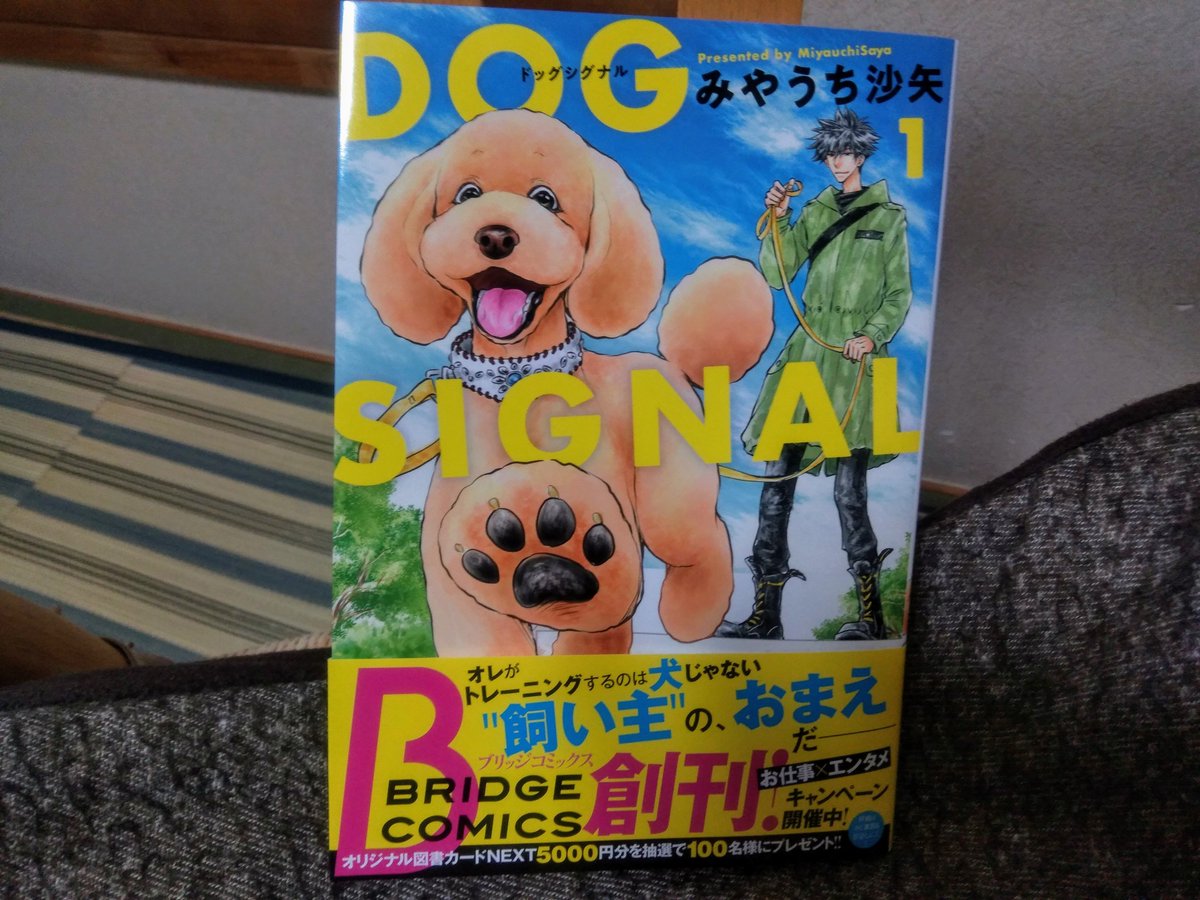 みやうち沙矢先生の新刊「DOG SIGNAL」面白かったー!犬がめっちゃかわいいし勉強になるやつ!(犬!自分の名前わかってない!)https://t.co/HcmimzQW5a 