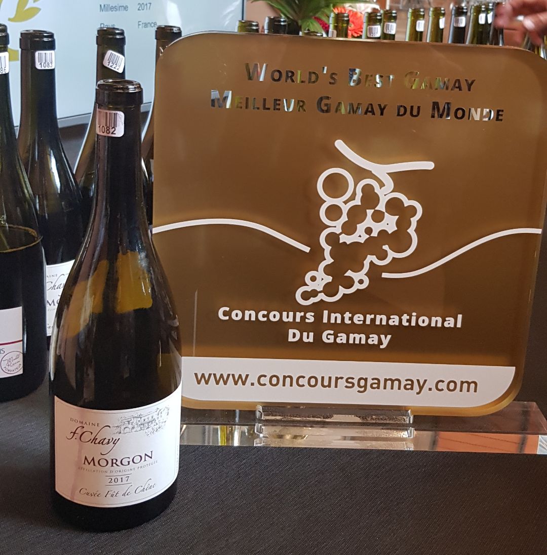 vinsbeaujolais's tweet photo. Aujourd'hui, c'était le concours international du #gamay à #lyon ! Bravo au domaine du #beaujolais Franck Chavy et sa cuvée de #Morgon qui remporte le titre de meilleur Gamay du monde ! https://t.co/TTZELHyXXe