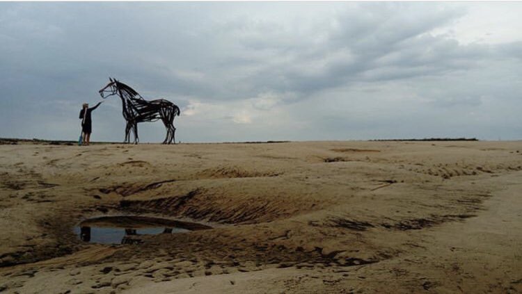 WNTSlife's tweet image. To all you Lifeboat Horse lovers 🐎- there is now only 3 weeks to raise £15,000 to keep the magnificent horse in Wells. Donations should be made to the Wells Harbour Office. How wonderful would it be for the horse to stay in it’s home and become a symbol for Wells?