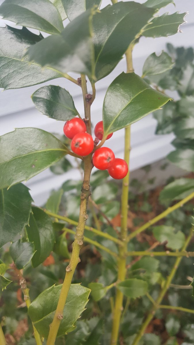 BentTrowel's tweet photo. A Natural Pause https://t.co/W5T68T4bap https://t.co/zzcWzFDKtH