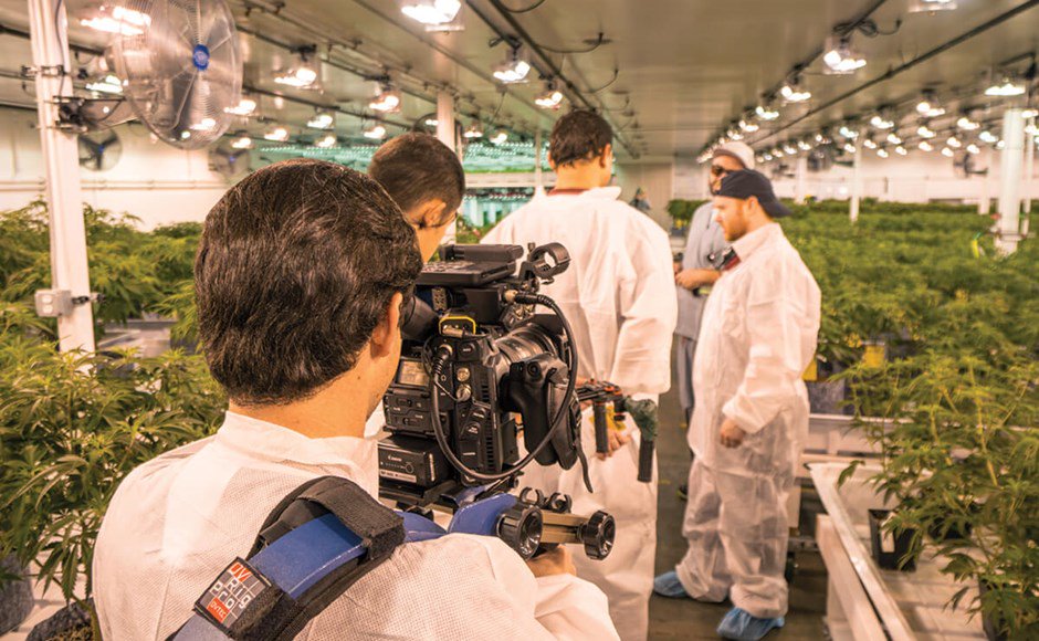 AceTheGrow tweet media