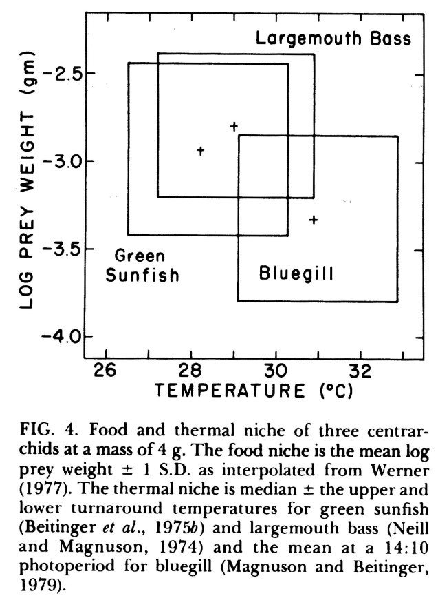 JeanVAdams's tweet photo. Fish compete for water temperature the same way they compete for food. Dominant individuals get first dibs on the best water temperature and keep subordinates out.
#InterferenceCompetition #ThermalNiche #MagnusonEtAl1979 #CompExamPrep https://t.co/pIjsP0g8B8