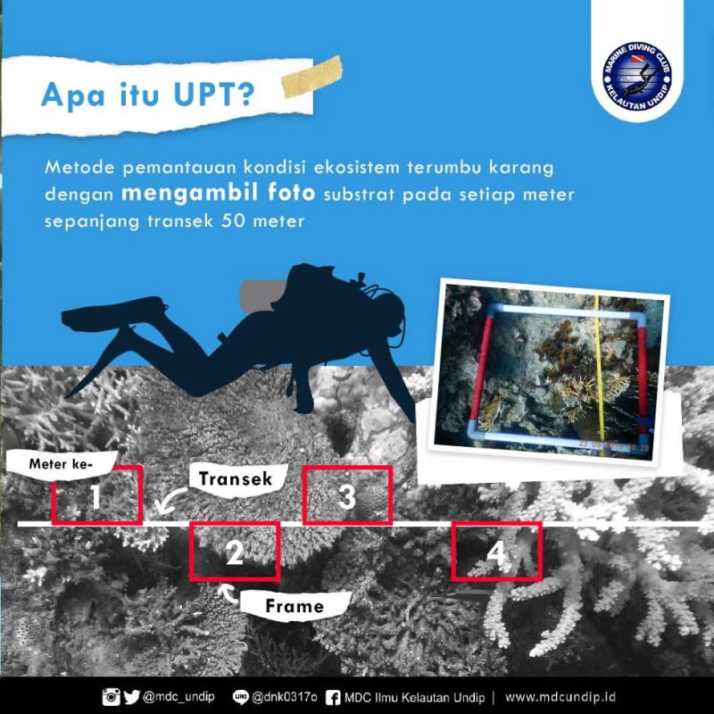 mdc_undip's tweet photo. Underwater Photo Transect (UPT) adalah metode pemantauan kesehatan terumbu karang yang menggunakan teknologi kamera dan komputer loh buddies!
#mdcsharingknowledge https://t.co/bCuFZs9111