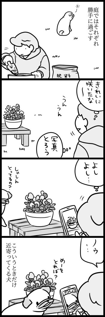 呼んでないのに 