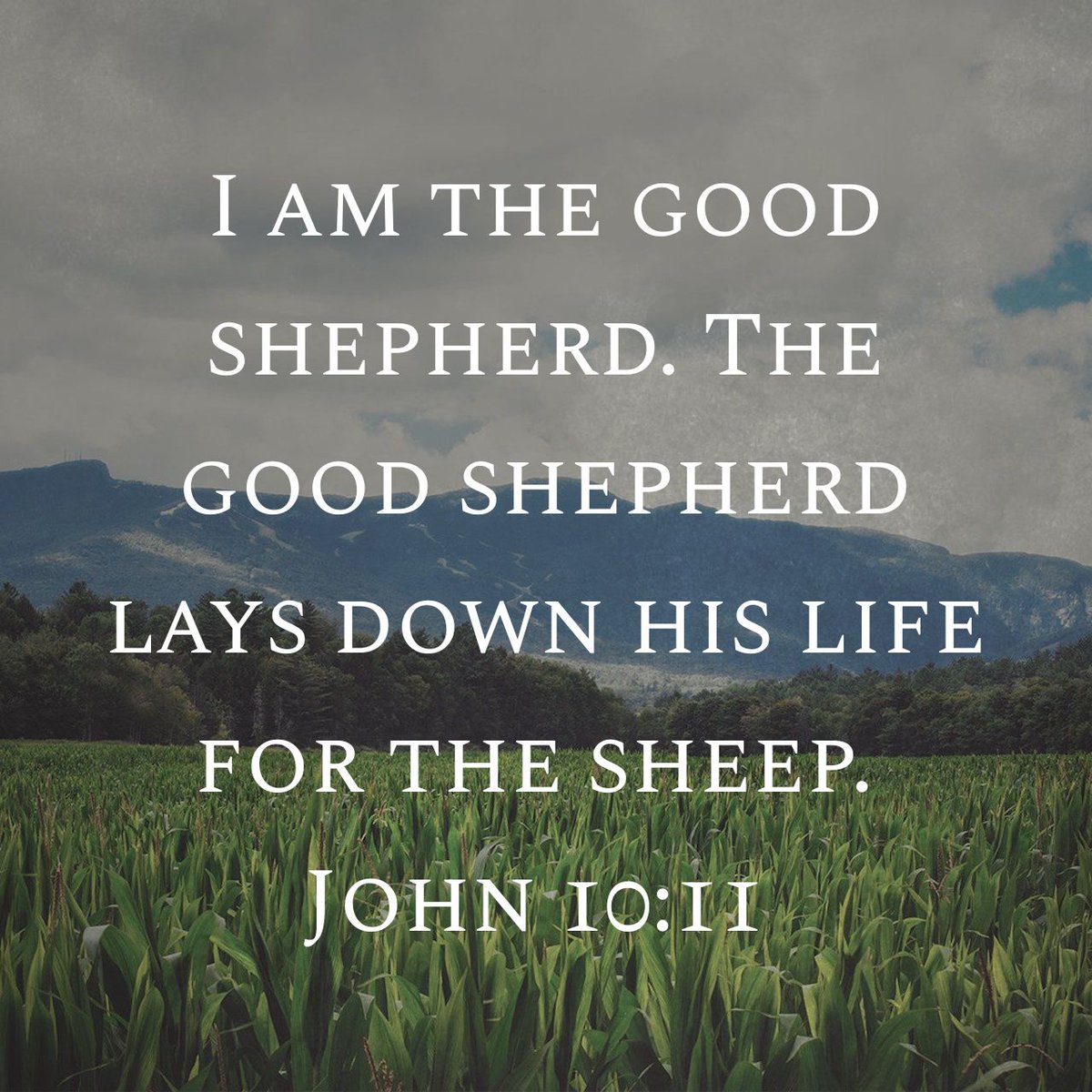 Disciple_Chris_'s tweet photo. I love this picture of Jesus. He loves, takes care of, protects, disciplines, leads, serves, and ultimately dies for His sheep. #OurShepherd #OurExample https://t.co/QsgUV8WfGb