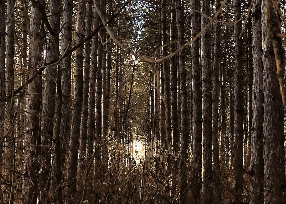 Ian Black's photo on #ottnews