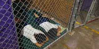 robvato's tweet photo. Were I utterly ignorant of immigration policy undr both Dems &amp; GOP, I, the son of migrants,might've shed a tear during Julian Castro's speech.But, unlike Castro, I've visited refugee kids jailed by Obama,kids Castro needs to rot in cages of oblivion, lest he own up to O's legacy. https://t.co/d1Grdvy9FZ