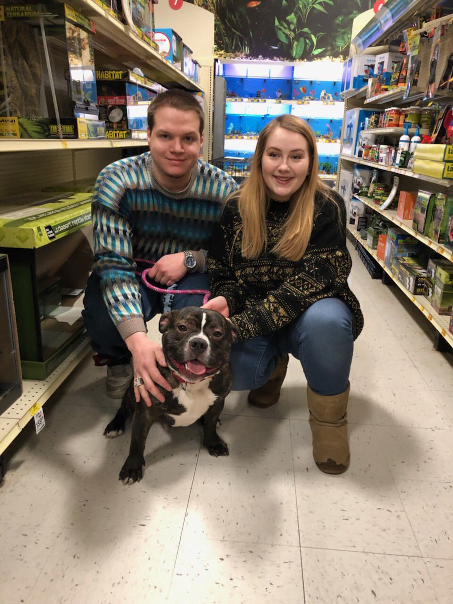 Petsmarttrainer's tweet photo. @PetSmart @LifeatPetSmart @PetSmartAE @PetSmartChariTs @Aliharris2013 @JoeCahue 
Turbo found his fur ever home at PetSmart 1299. Springfield, Ohio.
Adoption through the Clark County SPCA. #PetSmartEvents https://t.co/pJcpGOcSmq