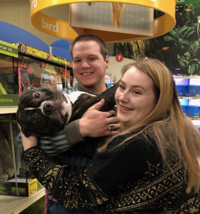 Petsmarttrainer's tweet photo. @PetSmart @LifeatPetSmart @PetSmartAE @PetSmartChariTs @Aliharris2013 @JoeCahue 
Turbo found his fur ever home at PetSmart 1299. Springfield, Ohio.
Adoption through the Clark County SPCA. #PetSmartEvents https://t.co/pJcpGOcSmq