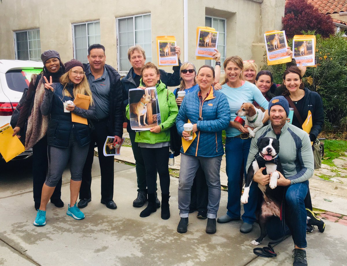 The search for Vaquera is on! Neighbors in the <a href="/WashSQPasadena/">Washington Square</a> neighborhood  joining together to bring their beloved canine neighbor home. <a href="/PasadenaHumane/">Pasadena Humane</a> <a href="/PasadenaGov/">City of Pasadena</a>