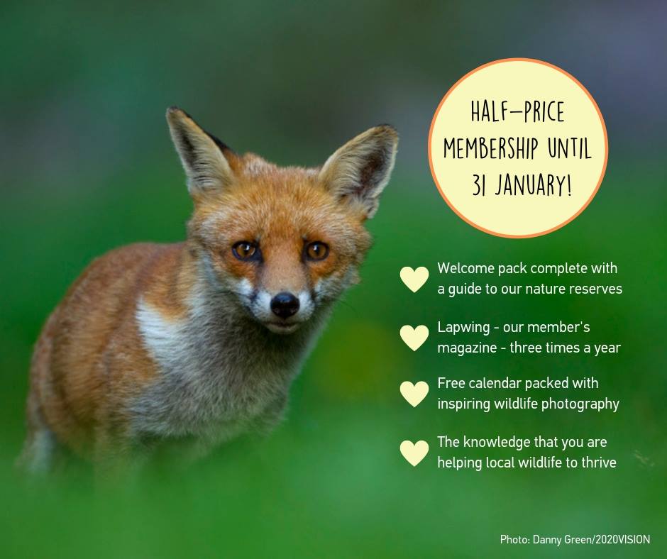 NAnglingShow's tweet image. 🦡🦊 New for 2019, the Lancashire Wildlife Trust will be exhibiting at #NAS7