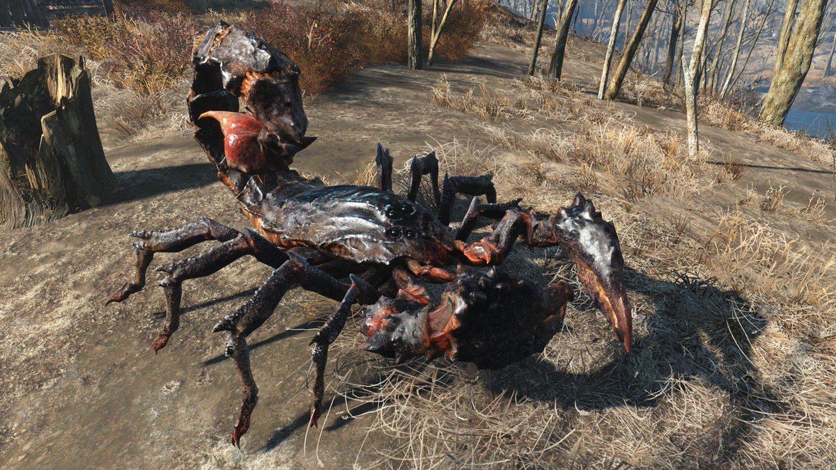 BugginOutAbout's tweet photo. The @Fallout series is known for its fictional depiction of the effects of radiation on #bugs. #Fallout4 alone features 69 different bugs including #scorpions, #roaches, #blowfies, and even hermit #crabs.

Photo: Wikia

#gaming #fallout #entomology #nature #bug @bethesda https://t.co/ziS2bceaIr
