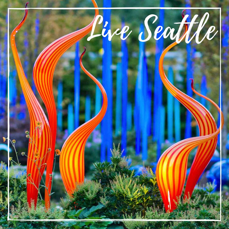 suhrco's tweet image. Some of our properties reside in fantastic #Seattle! Did you know that right next to the Space Needle at Seattle Center there's a glass garden? Chihuly Garden and Glass is a surreal landscape full of art &amp;amp; greenery. Buy tickets today! bit.ly/2yIzLUp