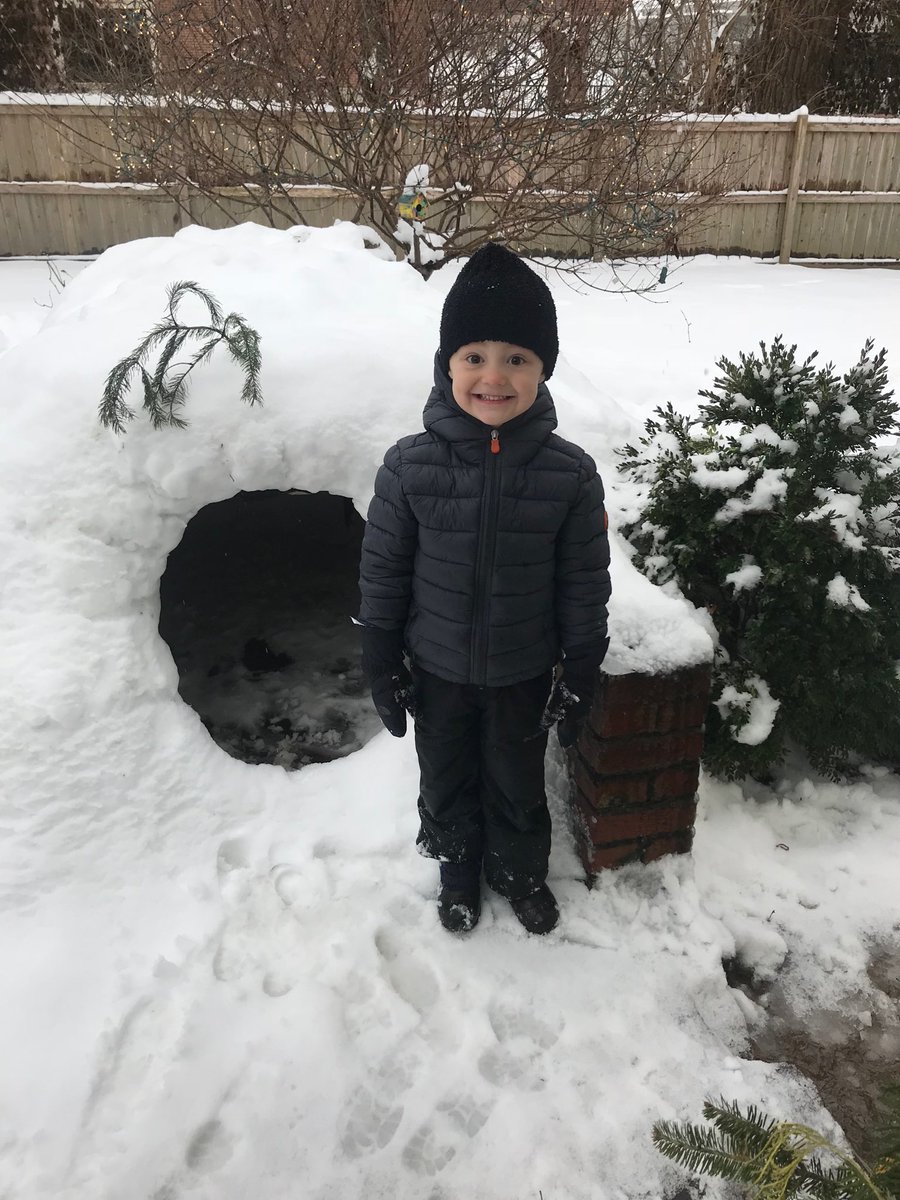 JamieSaettele's tweet image. Igloo! #stlweather