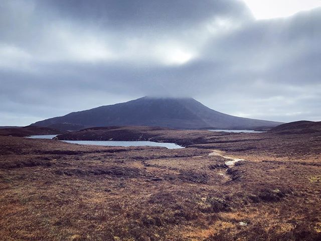 WildUists tweet media