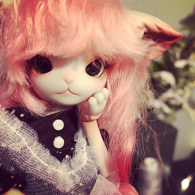 lomilmalinde's tweet photo. Kitty says good morning! Thereโs an exciting new video up on my channel and I canโt wait for you to see it... and meet Kitty. Link is in my bio!
#bjd #abjd #anthrobjd #dollzone #dollzoneminikitty #lomisplayground #bjdgiveaway https://t.co/kILRVacGj2 https://t.co/rZ8nRjntVu