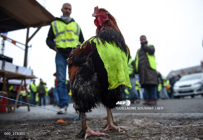 🇫🇷 France's 'yellow vests' mobilise for fresh round of protests http://u.afp.com/JkUC
📷 @gsouvant @ludovic_marin
#AFP #gilletesjaunes #YellowVests