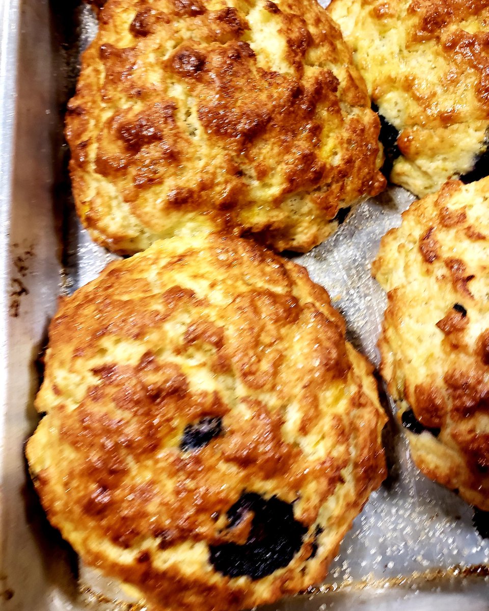 JavaPunkCoffee's tweet photo. Blueberry peach scones are ready! Try them alone or with clotted cream and lemon curd! They won't last long! #javapunkcoffee #shoplocal #sconesaturday #scones #tea #coffee #community https://t.co/4TfsUOG9mx