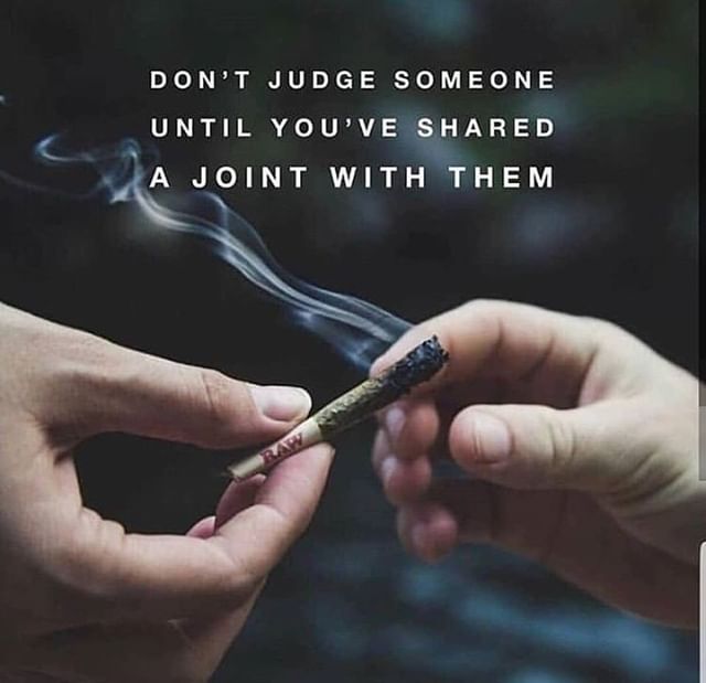 _chroniclady's tweet photo. Reposting @tightpac:
We agree!!! Don't you??⁣
.⁣
#Regram via @s.m.o.k.e.420⁣
.⁣
.⁣
.⁣
#nojudgement #letssmokefirst ⁣
#cannabisculture #cannabiscommunity #420life #mmjlifestyle #mmj #medicalmarijuana #weshouldsmoke #womeninweed #girlswhosmoke  #420time #highlife #hightimes https://t.co/8kGtCu5NMu