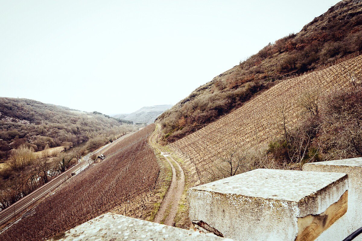Rieslingheroes's tweet photo. Spectacular view from the #Felsentürmchen” 😊👍. In the middle of the fantastic #Felsenberg #vineyard from #winery #dönnhoff 🌟🥂. Read everything about our visit to Dönnhoff in our recent blog post 🚀... #wine #winelover #sommlife #sommelier #finewine #somm #wineo #wein #vino https://t.co/onadsy3Ama