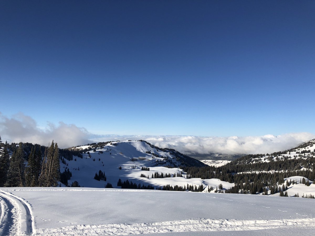 fossilfuel69's tweet image. Who would put random poles in the forest??? 🙄🙄 #snowmobile #polarisaxys #grandteton