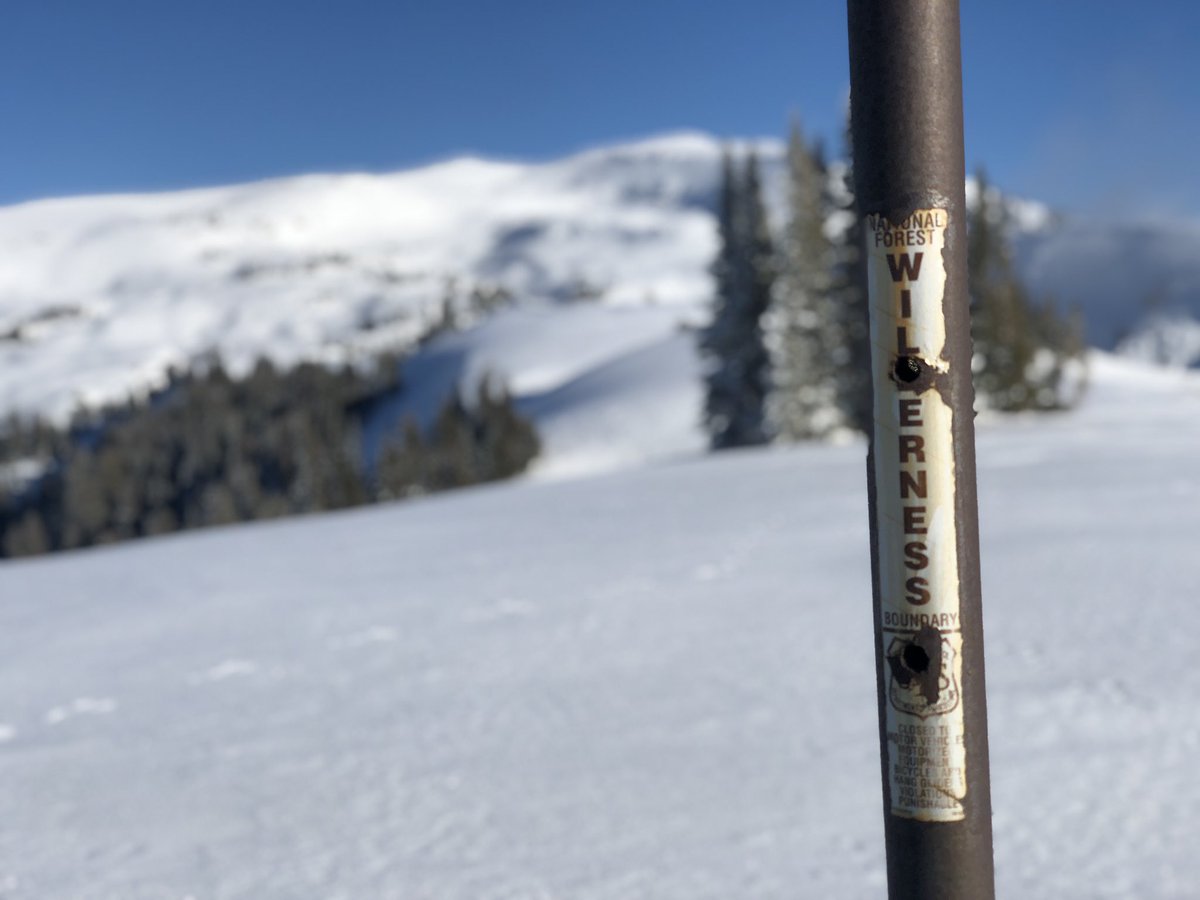 fossilfuel69's tweet image. Who would put random poles in the forest??? 🙄🙄 #snowmobile #polarisaxys #grandteton