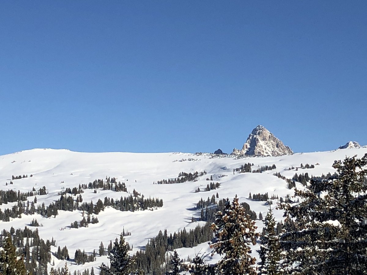 fossilfuel69's tweet image. Who would put random poles in the forest??? 🙄🙄 #snowmobile #polarisaxys #grandteton