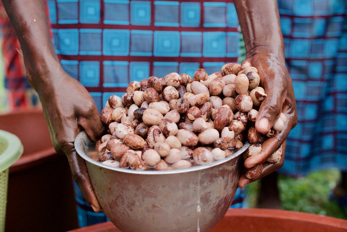 TREEAID's tweet photo. Tune in to @BBCRadio4 tomorrow at 7.54am or 9.35pm to hear our patron @ZoeWanamaker talk about how a TREE AID project transformed Petra's life through the power of shea trees 🌳 #R4appeal #sheapower https://t.co/eq2ciOYuyn