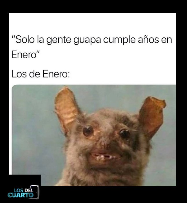 Los Del Cuarto on Los Del Cuarto on