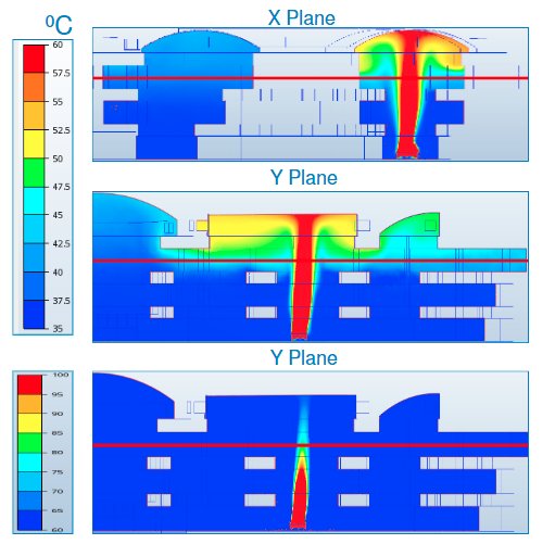 animals and temperature phenotypic and evolutionary adaptation society