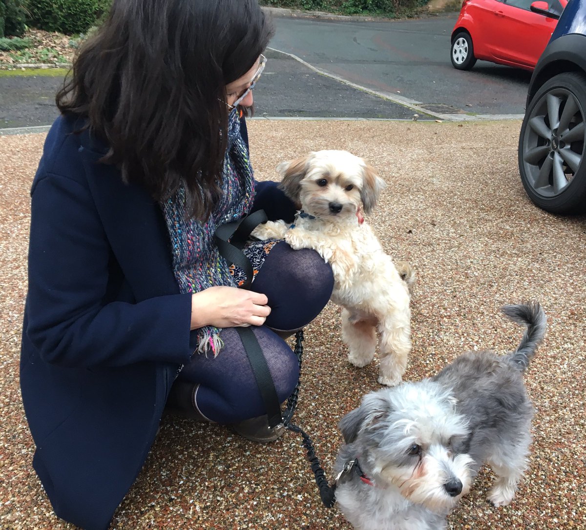 mone_sheila's tweet photo. Look who are coming to stay for a holiday in Chapel House #exciteddogs 🐶🐶@Habsmonmouth @MonBoysPrep https://t.co/cfsNaHplxQ