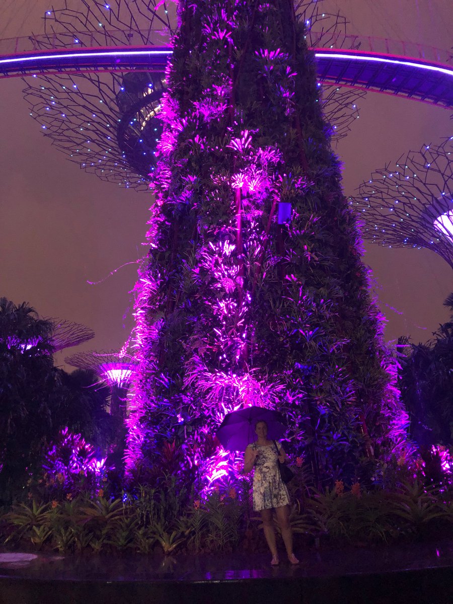 Thank you  #apmec2019 organisers and faculty! It has been a huge privilege to share and learn with the best in the world! Now time for my own well-being as a tourist in Singapore!