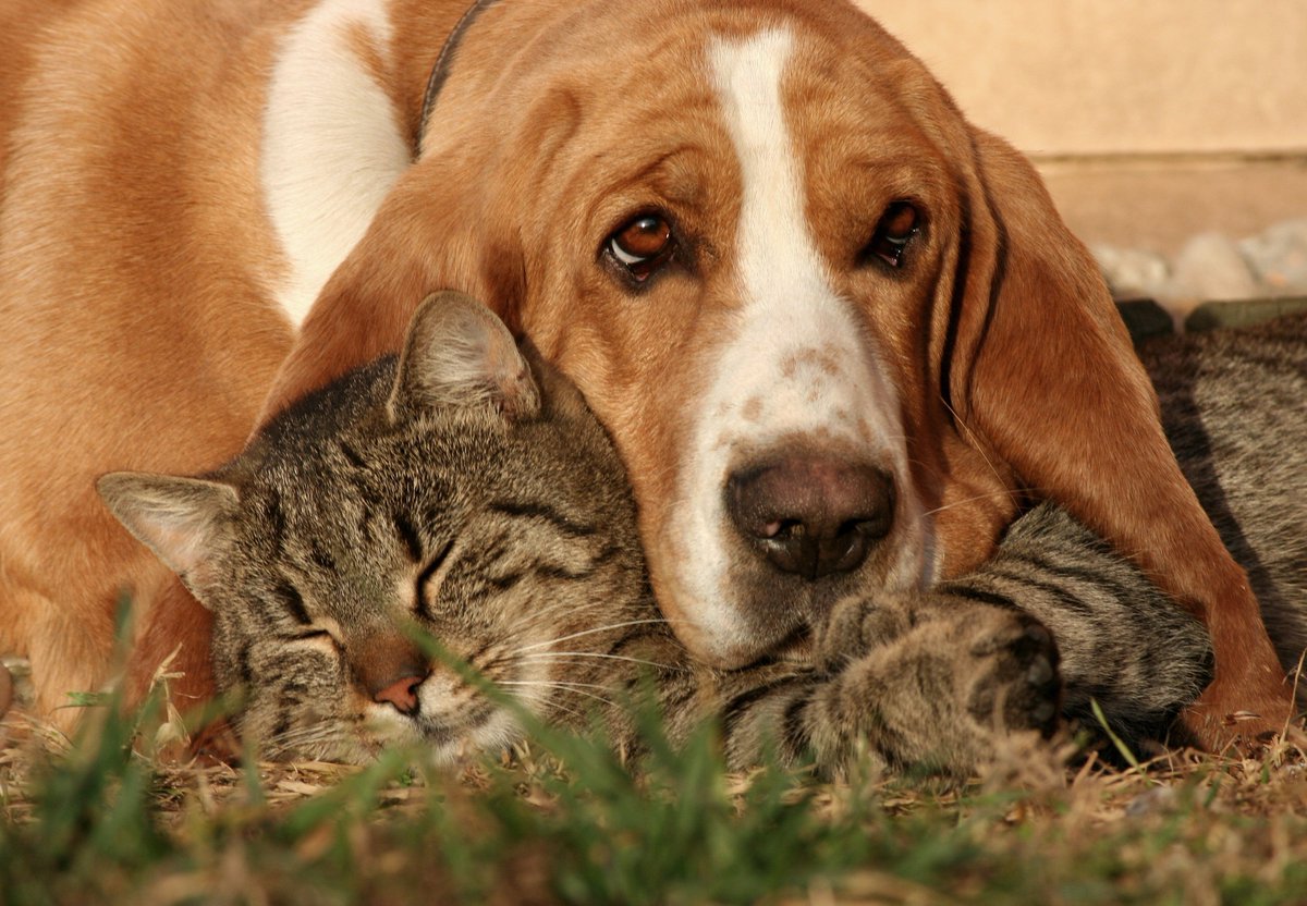 ♡♡♡🧡♡♡♡